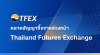Tfex.co.th logo