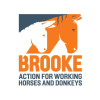 Thebrooke.org logo