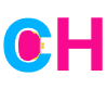 Thechicfashionista.com logo