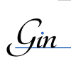 Theginisin.com logo