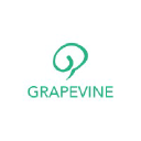Grapevine India
