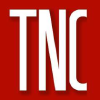 Thenerdcabinet.com logo