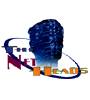 Thenetheads.com logo
