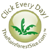 Therainforestsite.com logo