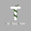 Theseoulstory.com logo