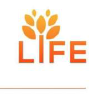 Theskooloflife.com logo