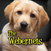 Thewebernets.com logo
