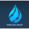 Threeseasinfologics.com logo