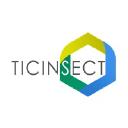 TicInsect