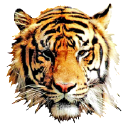 Petroleum Heat & Power