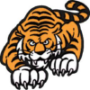 Tigertowntogo.com logo