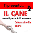 Tipresentoilcane.com logo
