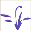Tisserandinstitute.org logo