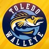 Toledowalleye.com logo