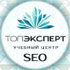 Topexpert.pro logo