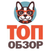 Topobzor.com logo