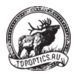 Topoptics.ru logo