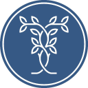 Torahtothetribes.com logo