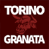 Torinogranata.it logo