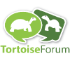 Tortoiseforum.org logo