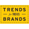 Trendsbrands.ru logo