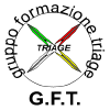 Triage.it logo