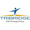 Tribridge.com logo