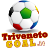 Trivenetogoal.it logo