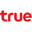 Trueinternet.co.th logo