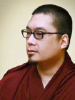 Tsemrinpoche.com logo