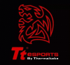 Ttesports.com.tw logo