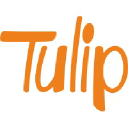 Tulip Corporation