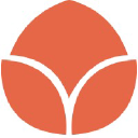 Tuliptime.com logo