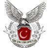Turkishairforce.org logo