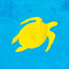 Turtlebay.co.uk logo