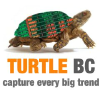 Turtlebc.com logo