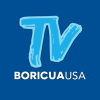 Tvboricuausa.com logo