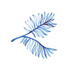 Twobunchpalms.com logo