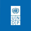 Undp.org logo