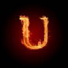 Uniquehunters.com logo