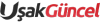 Usakguncel.com logo