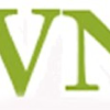 Valsassinanews.com logo
