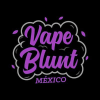 Vapebluntmexico.com.mx logo