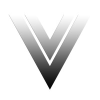 Vashivisuals.com logo