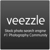 Veezzle.com logo