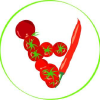 Vegetarianskij.ru logo