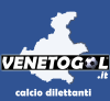 Venetogol.it logo