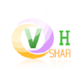 Vhoc.net logo