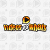 Videosnowhats.com logo