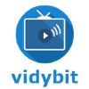 Vidybit.com logo